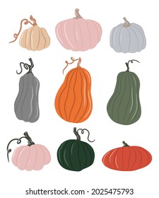 Colección de calabazas de colores bonitos, delicados tonos de calabaza, fondo blanco aislado, conjunto de calabaza otoñal, verdura otoñal. Ilustración de dibujos animados, diseño moderno. Calabaza de Halloween. Vector