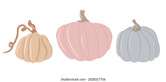 Collection of cute colored pumpkins, delicate shades of pumpkin, isolated white background, set of autumn pumpkin, autumn vegetable. Cartoon illustration, modern design. Halloween pumpkin. Vector