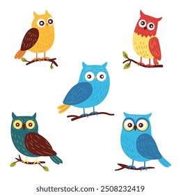 Collection of Cute Colorful Owl Bird Animal Perched on Tree Branch