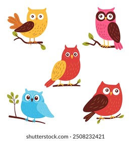 Collection of Cute Colorful Owl Bird Animal Perched on Tree Branch