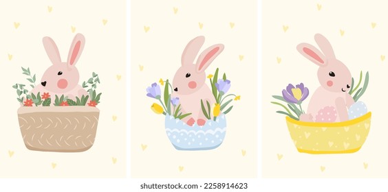 A collection of cute compositions with rabbits sitting in a basket, spring flowers and Easter eggs. Spring flowering, illustration for celebrating Easter, Spring Day, posters, banners, etc. Vector.