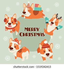 The collection of cute corgi dog wear christmas costume theme set in flat vector style. Illustration Graphic resource about dog and christmas for  graphic,content , banner and greeting card.