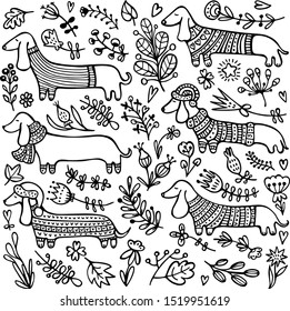 Collection of cute dachshunds wearing knitted sweaters, scarves, and hats, surrounded by floral elements. Black and white hand-drawn, doodle vector illustration.  