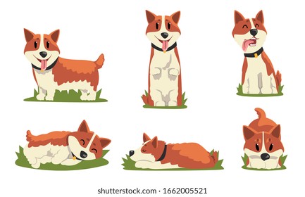 Collection of Cute Dog in Everyday Activities, Cute Pet Animal in Various Poses Vector Illustration on White Background