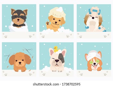 The collection of cute dog with spa and salon theme in flat vector style. Graphic resource about pet grooming for graphic, content,banner, greeting card.