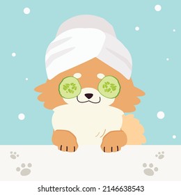 The collection of cute dog with spa and salon theme in flat vector style. Graphic resource about pet grooming for graphic, content, banner, greeting card. svg