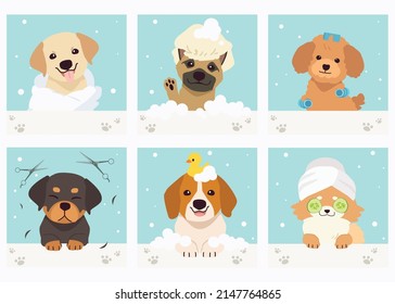 The collection of cute dog with spa and salon theme in flat vector style. Graphic resource about pet grooming for graphic, content, banner, greeting card. svg