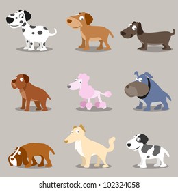 collection of cute dogs in different breeds. isolated.