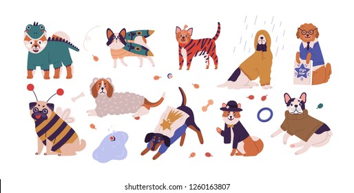 Collection of cute dogs of different breeds wearing funny costumes. Set of amusing cartoon domestic animals dressed in various clothing isolated on white background. Vector illustration in flat style.