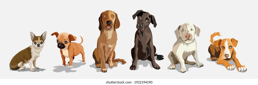 Collection with cute dogs of different breeds. Set of funny dogs, on a white background. Furry human friends home animals