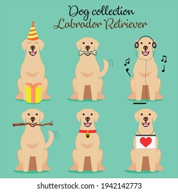 Collection of cute dogs performing different actions