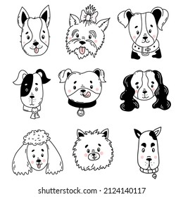 Collection of cute dogs. pets of different breeds Yorkshire Terrier, Spitz, Boxer and Spaniel, Poodle and Great Dane, Mongrel and Pinscher. Vector illustration. Isolated line drawings in doodle style