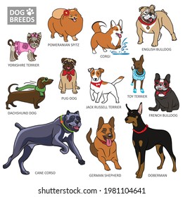 Collection of cute dogs of various breeds. Vector illustration. Set of purebreeds dogs isolated on white background.