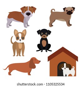 A collection of cute dogs. Vector illustration of a funny cartoon of different breeds of dogs. Isolated on white