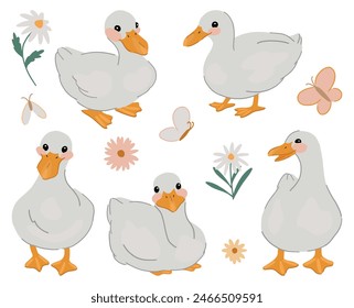 Collection of cute ducks. Pretty white gooses set. Contemporary vector illustration isolated on white background.