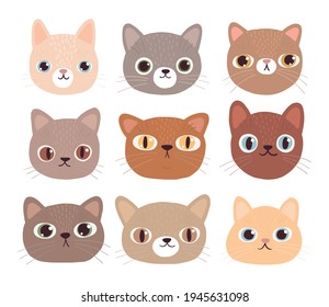 Collection of cute faces of cats. Funny emoticons with the image of kittens. Set of cartoon animals