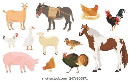 Collection cute farm animals and birds. Cartoon goat, horse, donkey and pig, chicken, hen, rooster, turkey, duck and goose illustration set on White background. Wildlife character vector animals.