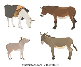 Collection cute farm animals. Cartoon Donkey illustration set. Wildlife character vector animals.