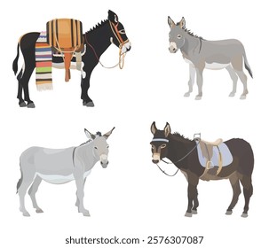 Coleção animais de fazenda bonitos. Conjunto de ilustrações Burro Desenho Animado. Animal vetorial característico da vida selvagem isolado em branco.