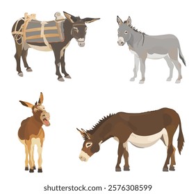 Coleção animais de fazenda bonitos. Conjunto de ilustrações vetoriais de burro de desenhos animados. Animais selvagens isolados em branco.