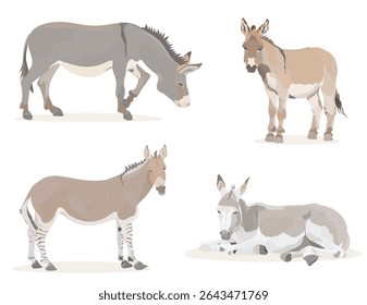 Coleção animais de fazenda bonitos. Conjunto de ilustrações de burro de desenhos animados. Animal vetorial característico da vida selvagem isolado em branco.