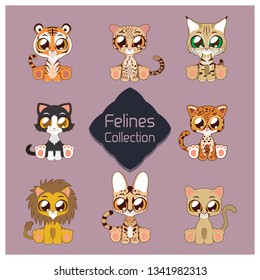 Collection of cute felines