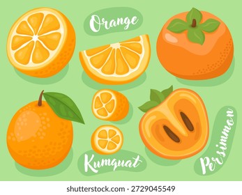 Coleção de ilustrações de frutas fofas, laranja, kumquat, caqui. Frutas doces suculentas. Frutos inteiros e metades de frutos com sementes. Ilustrações para embalagem, menu, loja de alimentos naturais.