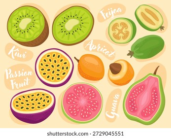 Coleção de ilustrações de frutas fofas, maracujá, kiwi, damasco, goiaba, feijoa. Frutas doces suculentas. Frutos inteiros, metades e pedaços de frutos com sementes. Ilustrações para embalagem, loja de alimentos.