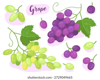 Collection of cute fruit illustrations, purple and green grape. Juicy sweet fruits. Illustrations for packaging, menu, natural food store.