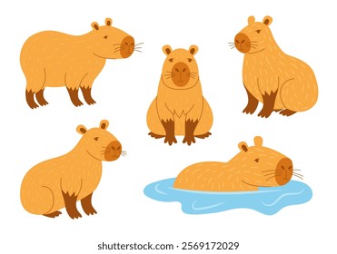 Collection of cute and funny capybara vector illustrations, perfect for prints, merch, and creative projects.