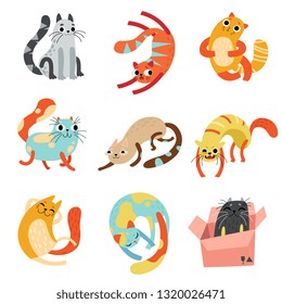 Collection of Cute Funny Cats in Different Poses Vector Illustration