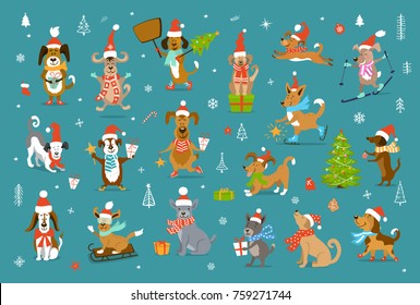 collection of cute funny christmas and happy new year 2018 dogs in winter santa claus hats and scarfs.pets sledding skiing jumping running having fun enjoying holidays celebrating 