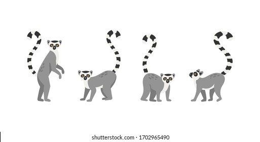 Collection of cute funny exotic lemurs isolated on white background. Set of adorable tropical animals or primates. Flat cartoon colorful vector illustration