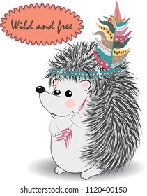 collection of cute and funny Indian animals. A stylized illustration of an Indian hedgehog with feathers