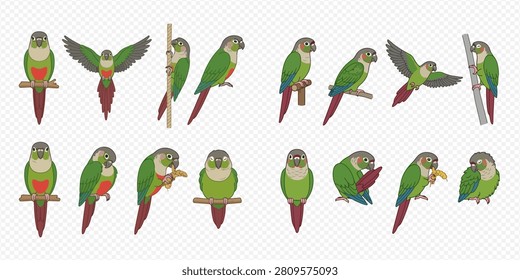 A collection of cute green parrot illustrations in various poses, including perching, flying, and eating, on a transparent background.