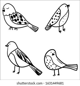 Collection of cute hand drawn bird doodles. Black on white vector set.