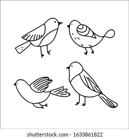Collection of cute hand drawn bird doodles. Black on white vector set.