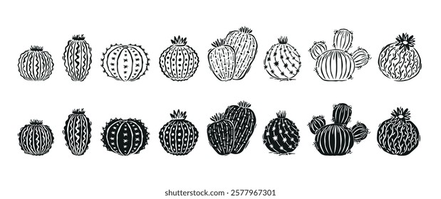 Collection of cute hand drawn cactus and succulents, desert plants doodles. Black and white drawings. Vector illustration