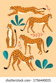 Collection of cute hand drawn cheetahs on pink background, standing, stretching, running and walking with exotic plants. Flat vector illustration