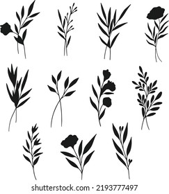 Collection of Cute Hand drawn Flower isolated flat vector Silhouettes