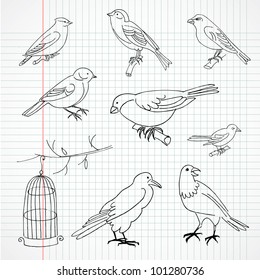 A collection of cute hand-drawn bird doodles