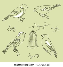 Eine Sammlung süßer, handgezeichneter Vogeldoodles