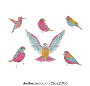 A collection of cute hand-drawn bird doodles