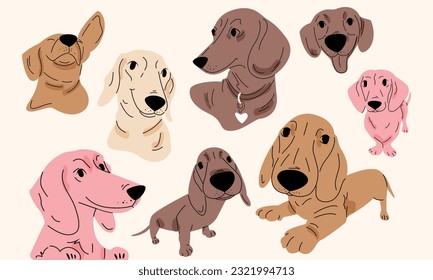 Collection of cute happy dachshund dogs in different poses. Cartoon style. Flat vector illustration
