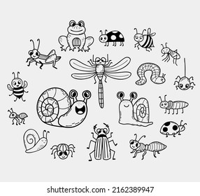 Collection of cute insects. Linear hand drawn doodle. Vector illustration. Isolated characters frog, snail, beetles and spider, dragonfly and bee, ladybug and mosquito for design, decor, decoration