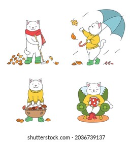 Collection of cute kittens enjoying fall season. Autumn illustrations of funny white cats walking with umbrella, drinking hot beverage, picking mushrooms and raking leaves. 