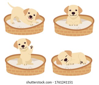 Die Kollektion von süßem Labrador Retriever auf dem Matratzenkorb oder Hundebett im flachen Vektorstil. Grafische Ressource über Hunde für Grafik, Inhalt, etc.