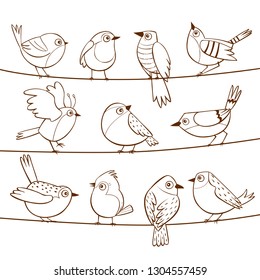 Collection of cute little birds laid on a string. Hand drawn little birds. Vector illustration.