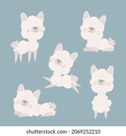 Kollektion Cute Llama Alpaca Set Kawaii. Sticker Pak Cute Animals. Lama-Charaktergrafik für Kinderdesign, Poster, Gruß, Geburtstagskarte, Babydusche und Partydekor. Vektorgrafik.