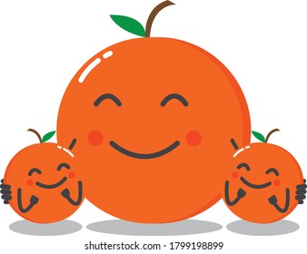 colección de personajes adorables de la fruta naranja mandarina para el diseño de mascotas y alimentos